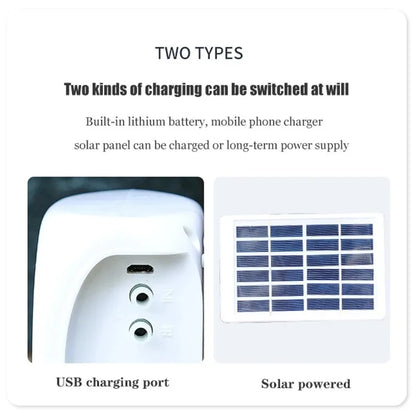 solar powered Dual Pump Intelligent Drip Irrigation System